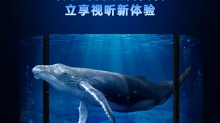 一圖讀懂利亞德135