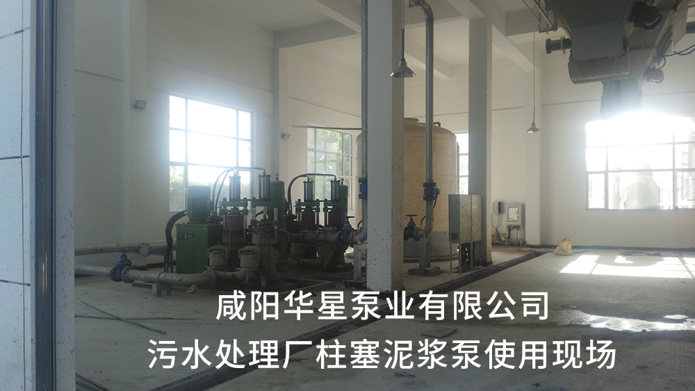 湖北仙桃污水处理厂1-水印